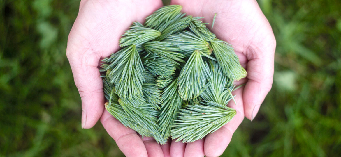 Quantum Touch Healing Hands