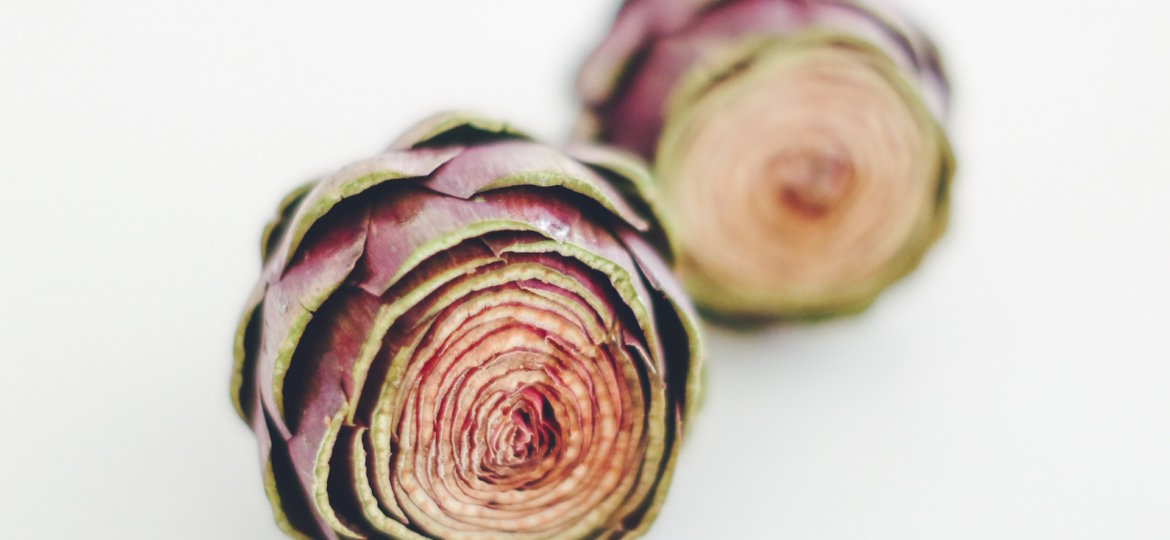 artichokes ultimate fat burner