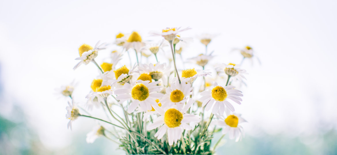 what is aromatherapy