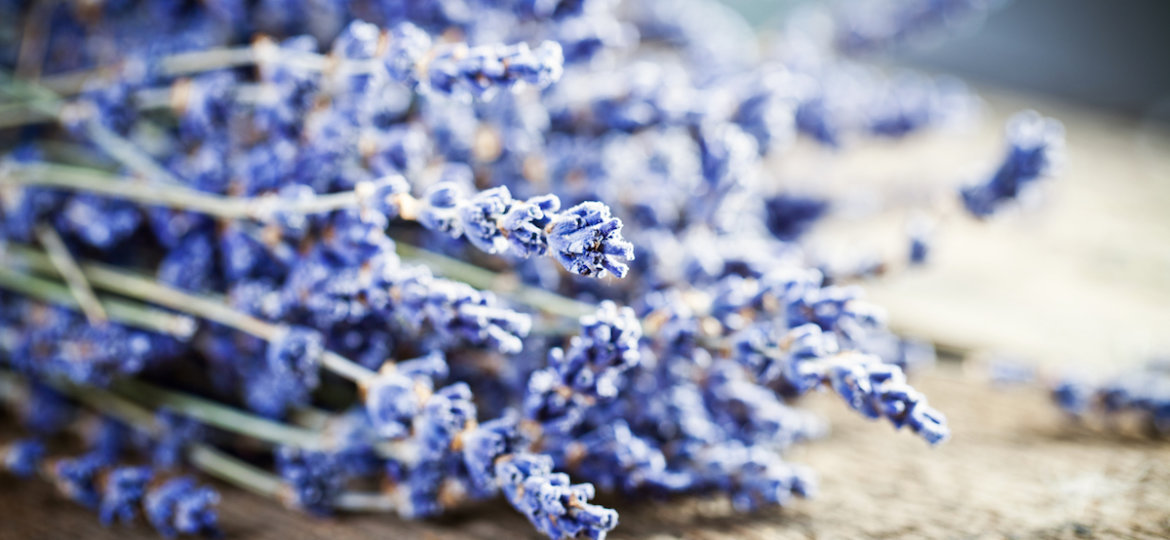 Using Lavender for Skincare