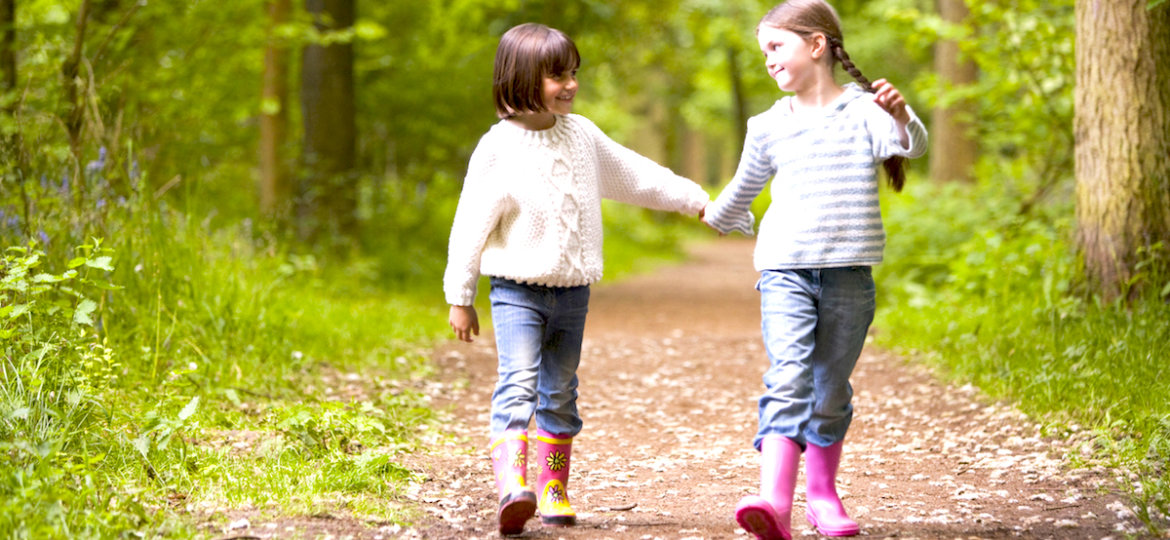 Feeling Safe with Flower Essences - What Therapy Singapore