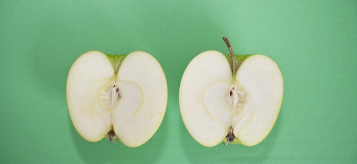 Apples Why an Apple A Day?
