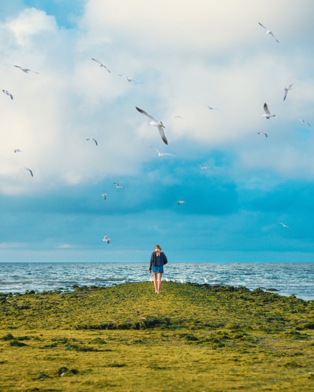leisure and pleasure photo by Sebastian Staines