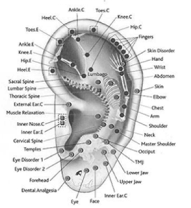 Ear Acupoints Self Massage for General Health
