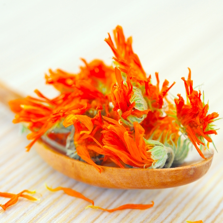 Calendula flowers for natural Calendula salve