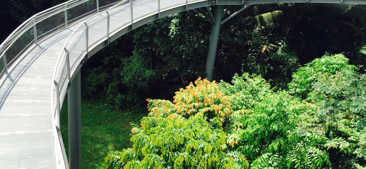 Hort-Faber Walk Singapore