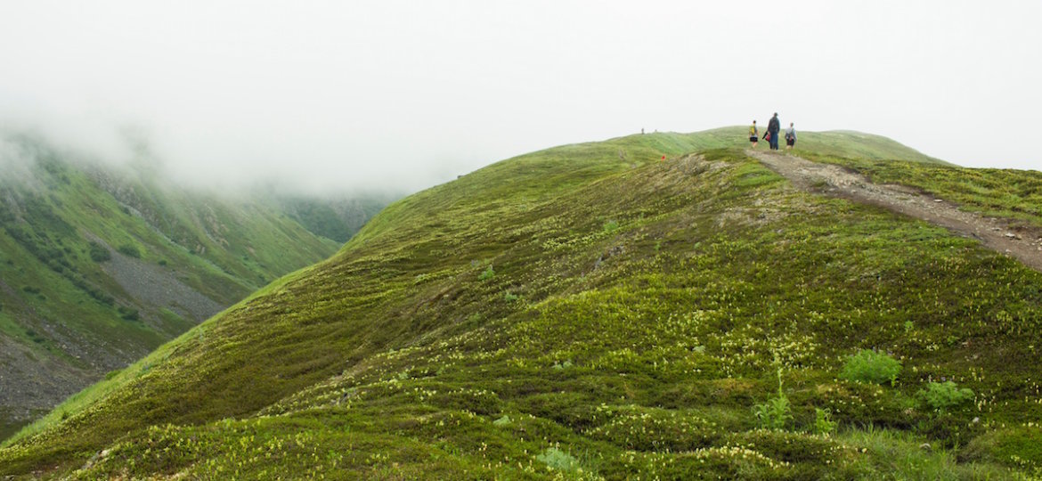 The Nature Pyramid How much Nature do we Need Photo by elijah-hiett
