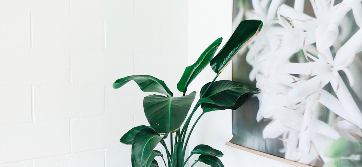 Healthy Spaces photo by andre-gorham