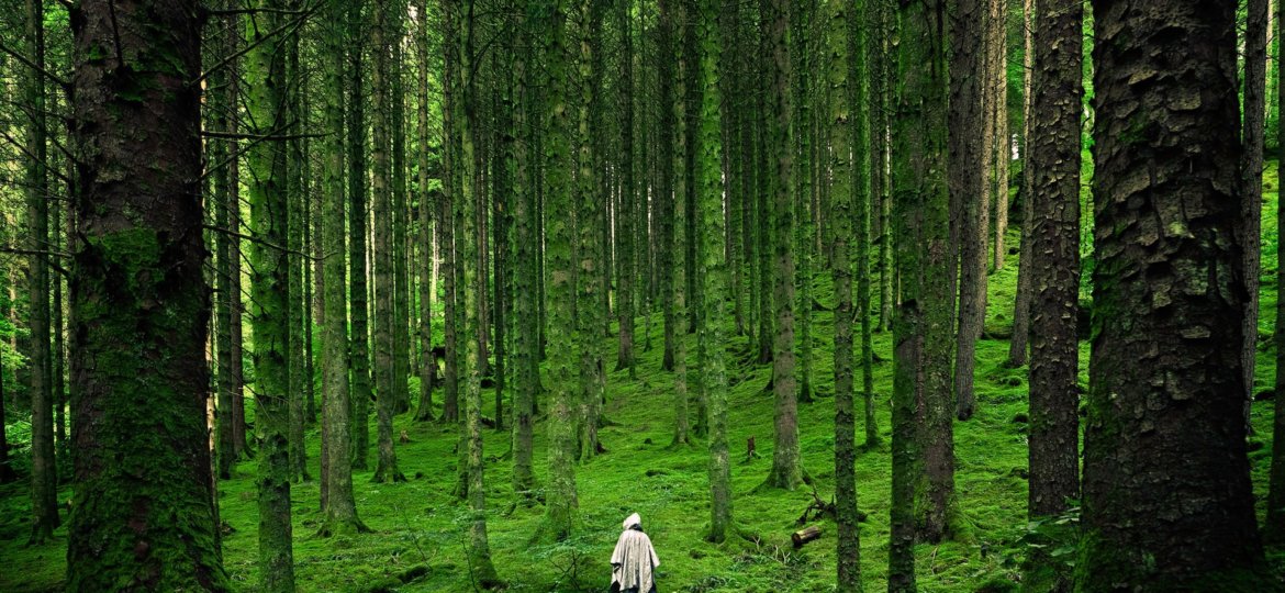 Braving the Wilderness Reflections on Brene Brown photo by luis-del-rio-camacho