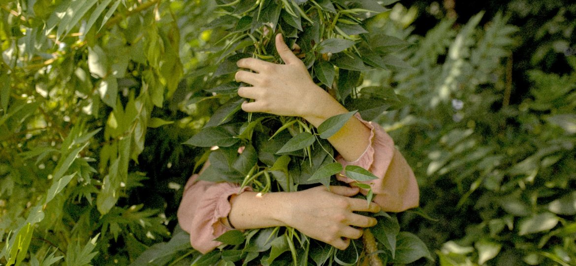 ways to celebrate earth day and honour gaia stock photo by will-cornfield