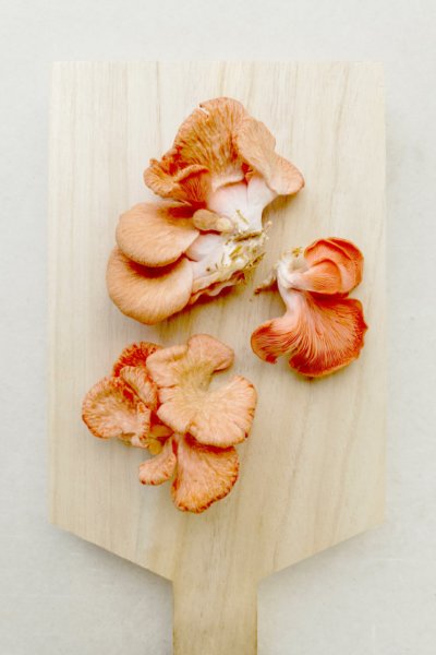 Dr Emoto Hado energymedicine food stock photo by foodism