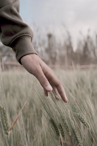 Practicing Ahimsa non harming stock photo by Youssef Aboutaleb