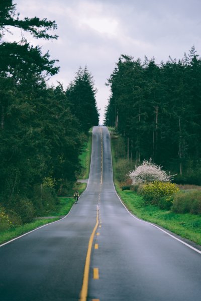 learning to be okay with yourself stock photo of Whidbey Island by Eric Saunders