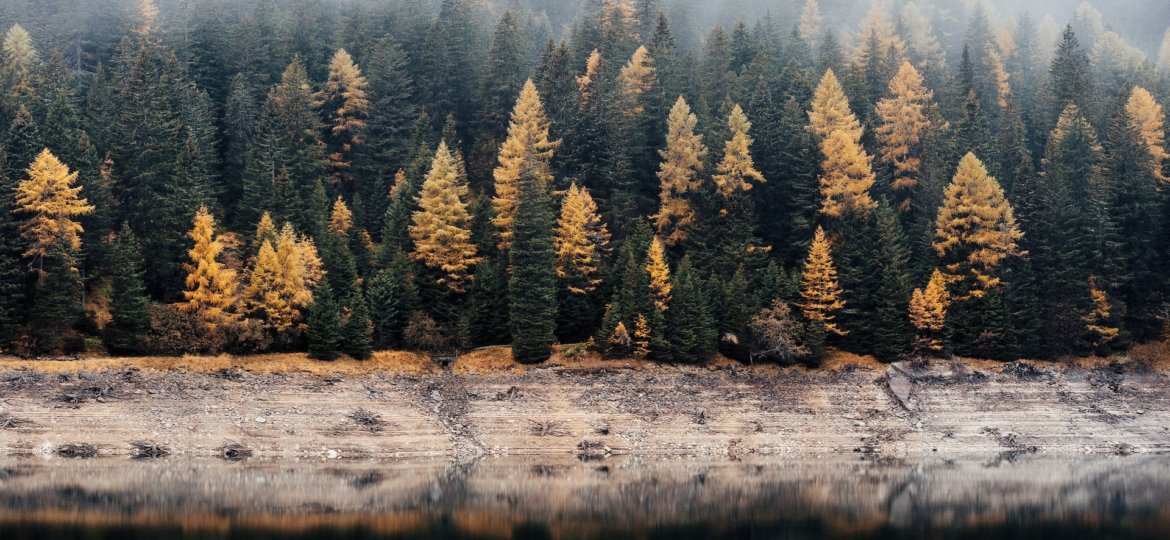 hello autumn phtoo by samuel ferrara