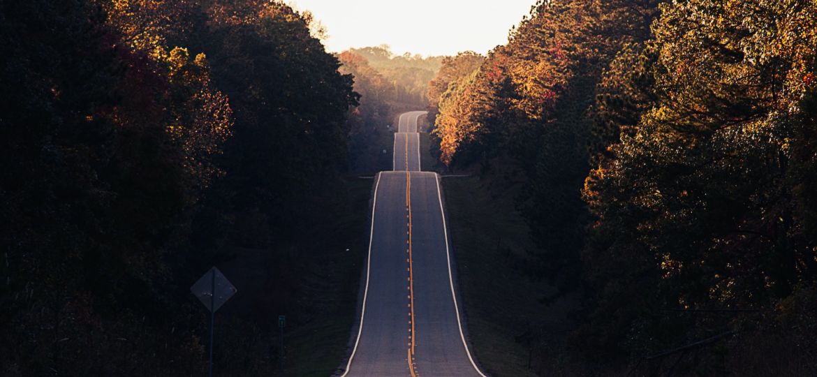 autumn-grief-lungs-large-intestine-energy-photo-by-matt-duncan