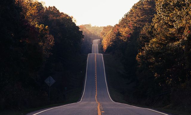 autumn-grief-lungs-large-intestine-energy-photo-by-matt-duncan