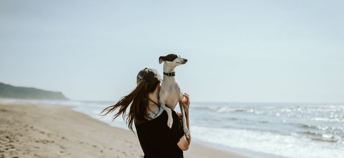 Be-Kind-Human-Design-What-Therapy-photo-by-chewy