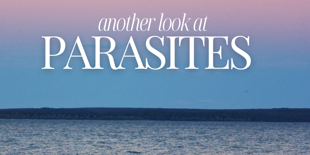 Another Look at Parasites