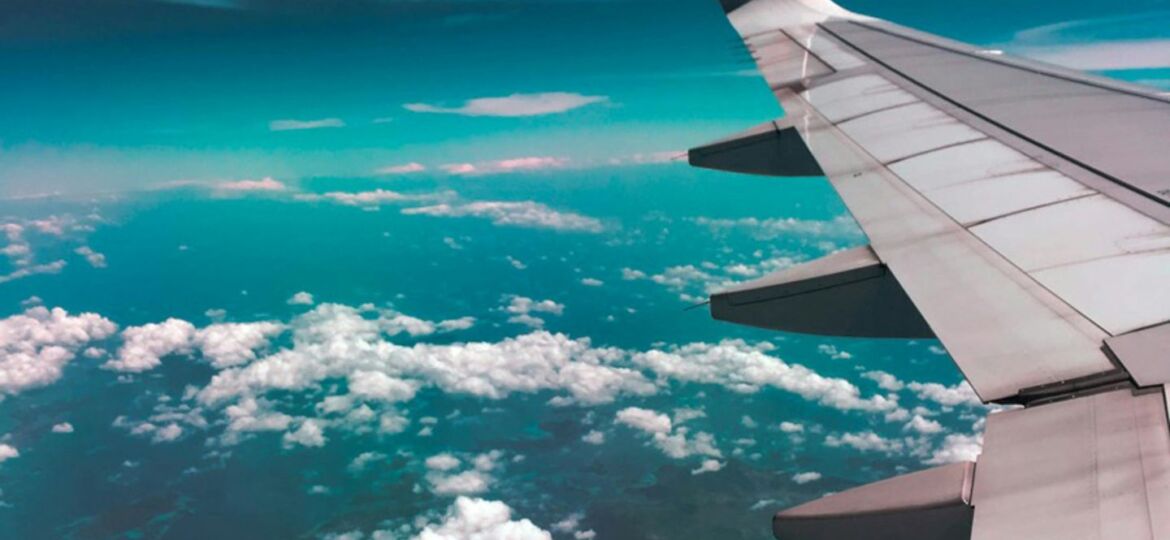 flower essences and homeopathy for travel pexels-wanderer-731217
