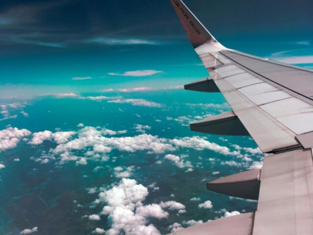 flower essences and homeopathy for travel pexels-wanderer-731217