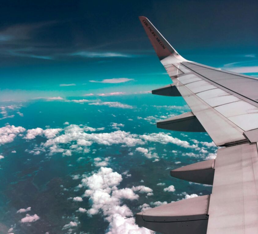 flower essences and homeopathy for travel pexels-wanderer-731217